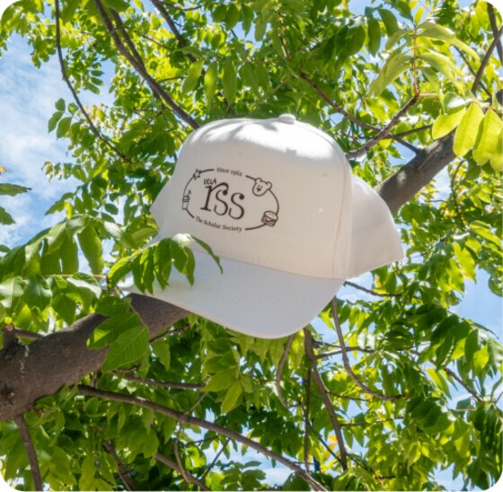 Cream cap with the RSS bear crest, resting on a tree branch