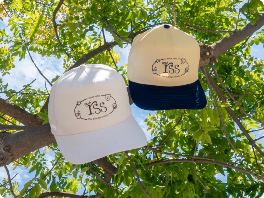 The cream and navy caps hung on a tree branch