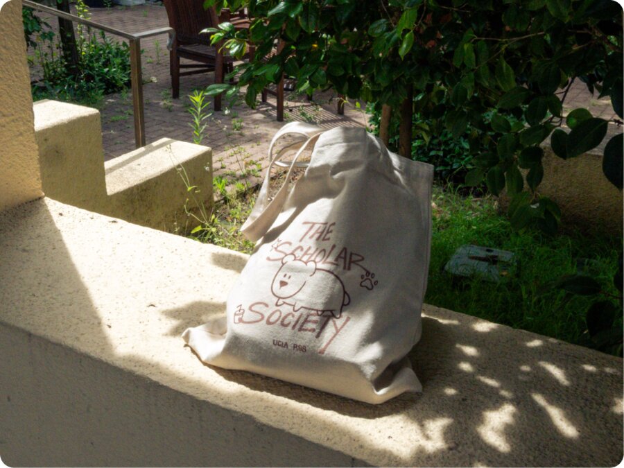The canvas tote bag resting on a sunlit stone ledge