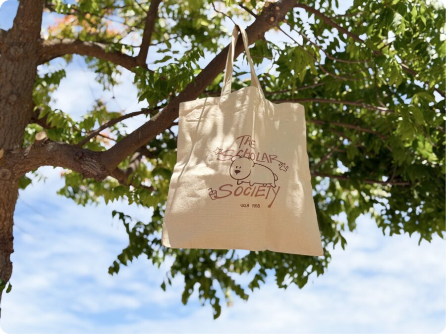 The canvas tote hanging from a tree branch against the sky