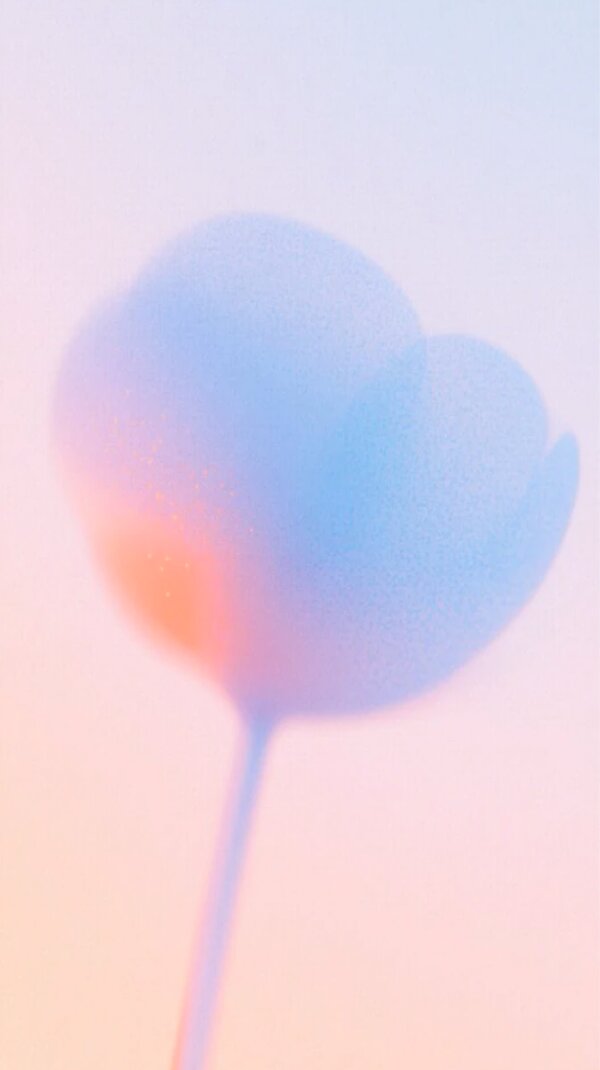 Blue poppy on pink gradient inspiration photo